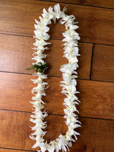 Load image into Gallery viewer, White Single Orchid Lei