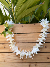 Load image into Gallery viewer, White Single Orchid Lei