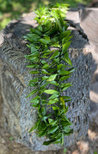 Load image into Gallery viewer, Wedding Pack - Haku/Flower Crown for Bride, Maile Ti Leaf Lei for Groom