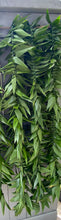Load image into Gallery viewer, Double Maile Style Ti Leaf Lei