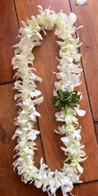 Load image into Gallery viewer, White Single Orchid Lei
