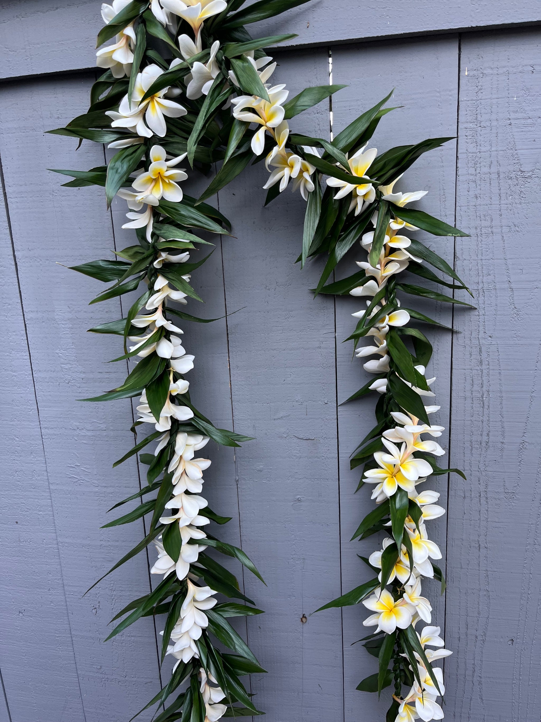 ★CHARLESチェキ MAYA LAFFLESIA LAREINE ポワトリン Ti Maile Style Lei/Orchid Wrap – Kaye's Leis
