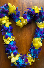 Load image into Gallery viewer, Blue &amp; Yellow Double Orchid Lei
