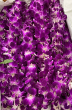 Load image into Gallery viewer, Double Orchid Bombay
